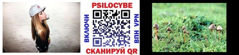блэк спрут ссылка  Минеральные Воды  Псилоцибиновые грибы мухоморы 