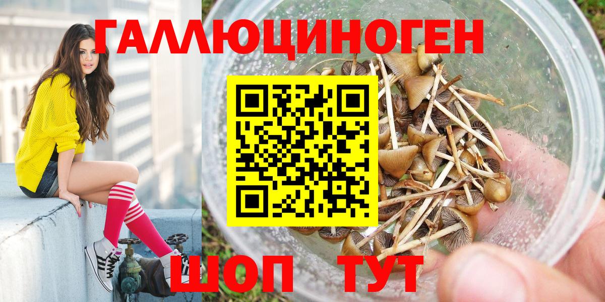 Минеральные Воды  Псилоцибиновые грибы Psilocybine cubensis  Вход с VPN 